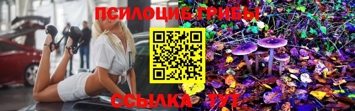 Псилоцибиновые грибы ЛСД Верхняя Пышма